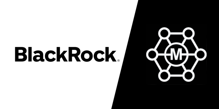 BlackRock’s Monumental Investment in Minati Token and MinatiVerse: A Game-Changer for the Minati Community