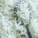 The Rice Brand and Its Benefits
