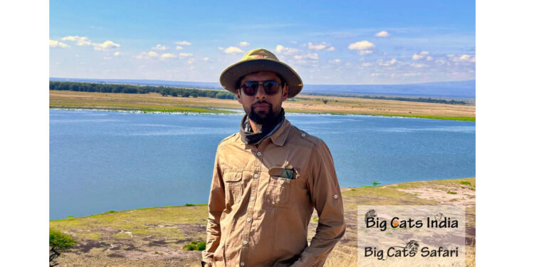 From Himalayas to Savannah: My Journey Across the World’s Big Cat Kingdoms