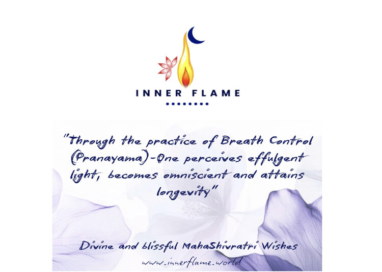 Your Breath is the Key to Your Inner World: Rediscover Yoga’s True Power beyond Poses