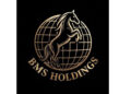 BMS Holding Udaipur, BMS Jewellers, BMS Tradelink, BMS Estates , BMS Investments & Lending ,